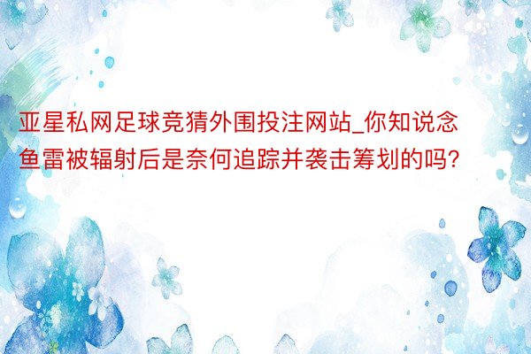 亚星私网足球竞猜外围投注网站_你知说念鱼雷被辐射后是奈何追踪并袭击筹划的吗？