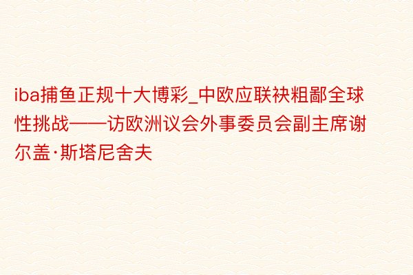 iba捕鱼正规十大博彩_中欧应联袂粗鄙全球性挑战——访欧洲议会外事委员会副主席谢尔盖·斯塔尼舍夫