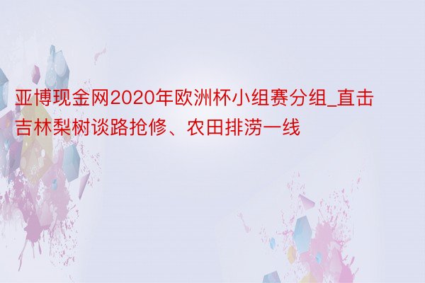 亚博现金网2020年欧洲杯小组赛分组_直击吉林梨树谈路抢修、农田排涝一线