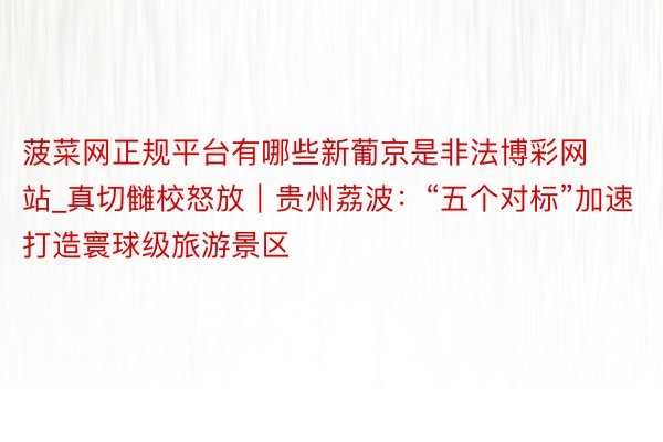 菠菜网正规平台有哪些新葡京是非法博彩网站_真切雠校怒放｜贵州荔波：“五个对标”加速打造寰球级旅游景区