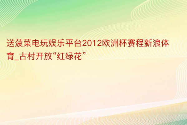 送菠菜电玩娱乐平台2012欧洲杯赛程新浪体育_古村开放“红绿花”