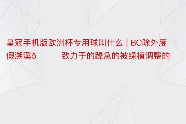 皇冠手机版欧洲杯专用球叫什么 | BC除外度假溯溪🌊致力于的躁急的被绿植调整的